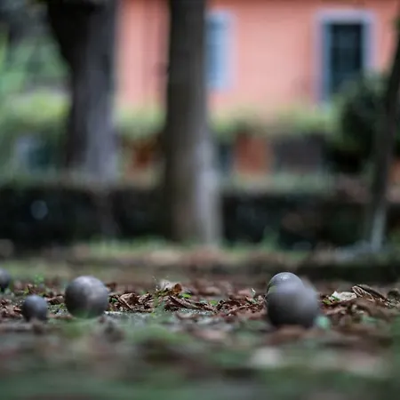 Moleloca - Pandora Villa