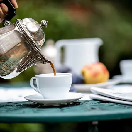 Moleloca - Pandora Torino