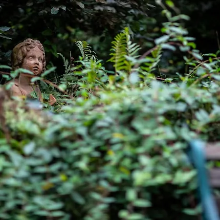 Moleloca - Pandora * Τορίνο