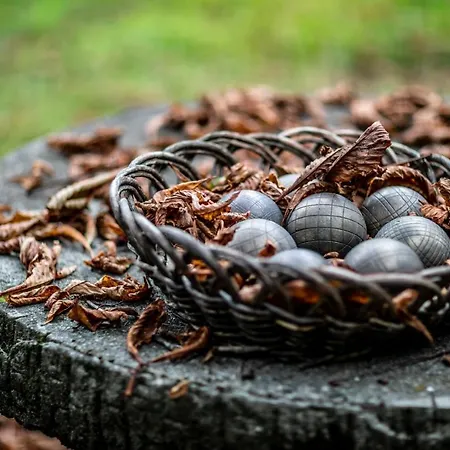 Βίλα Moleloca - Pandora *