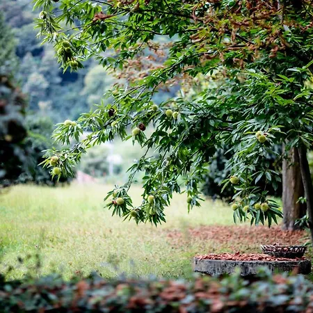 Villa Moleloca - Pandora Torino